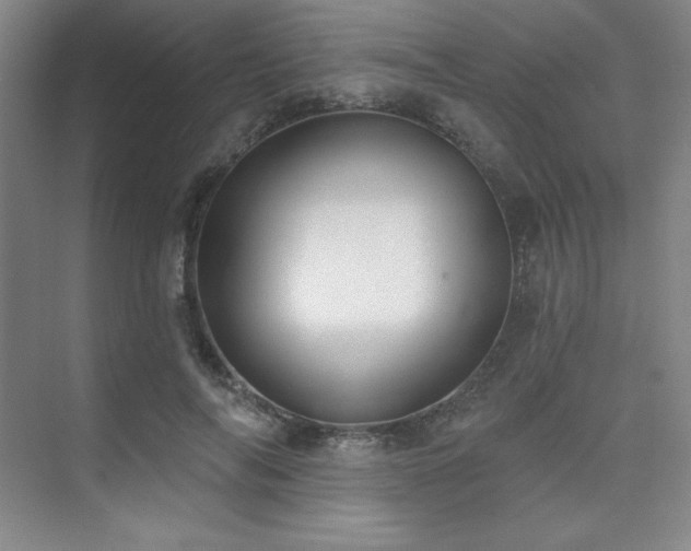 X0000073870694200608101510