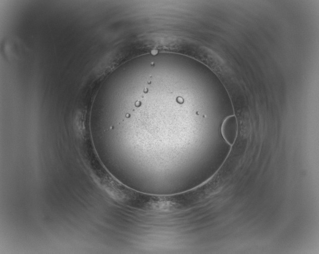 X0000073870695200608101510