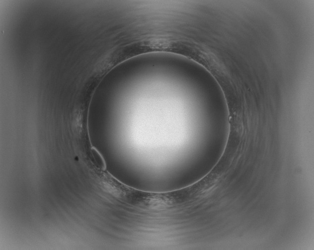 X0000073870697200608101510