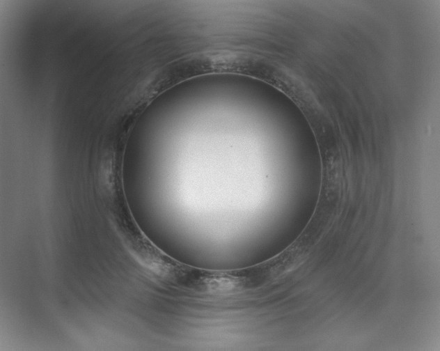 X0000073870698200608101510