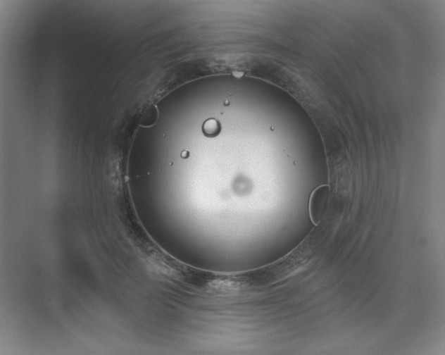 X0000073870699200608101510