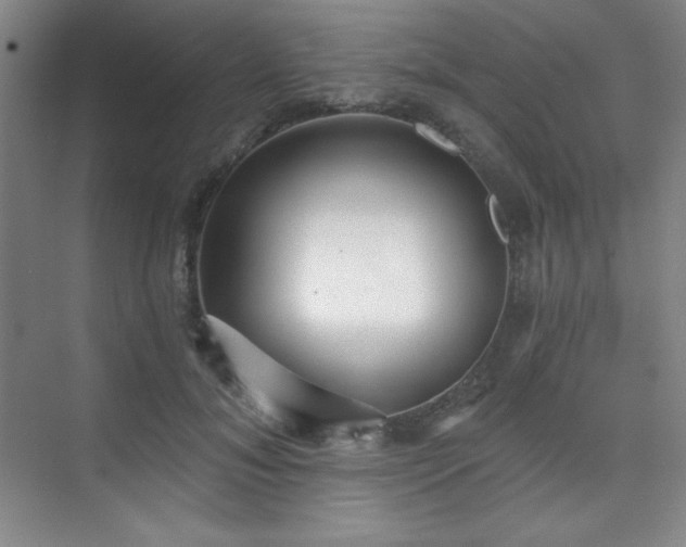 X0000073870700200608101510