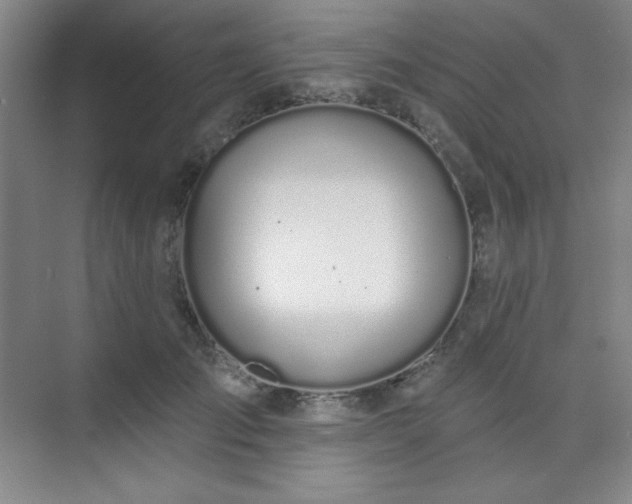 X0000073870701200608101510