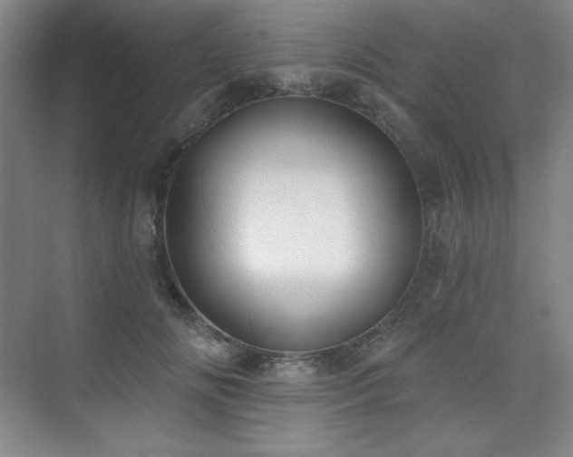 X0000073870702200608101510