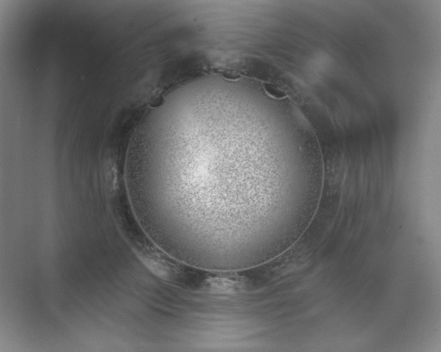 X0000073870703200608101510