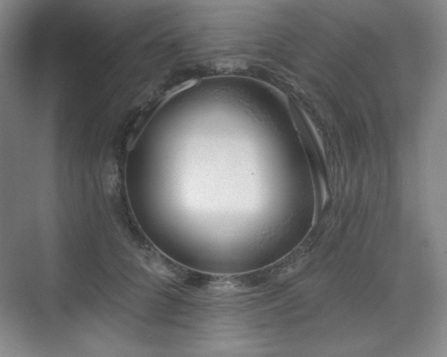 X0000073870704200608101510