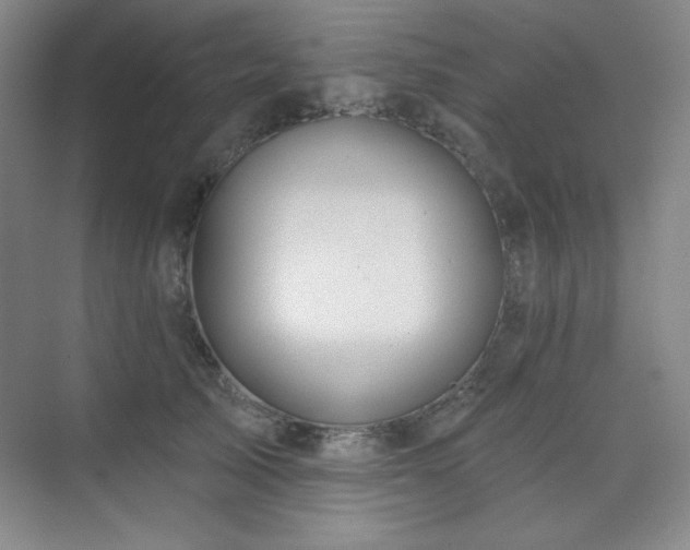 X0000073870705200608101510