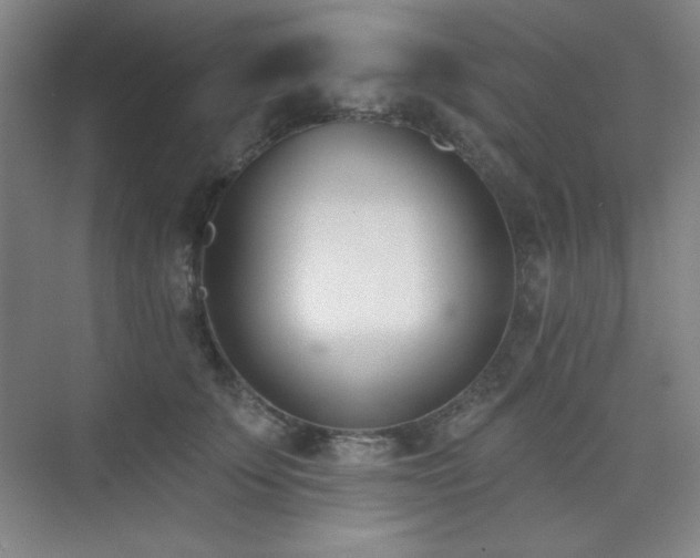 X0000073870707200608101510