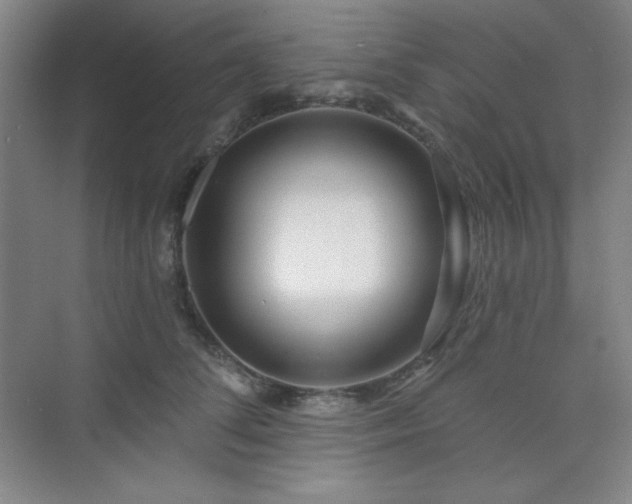 X0000073870708200608101510