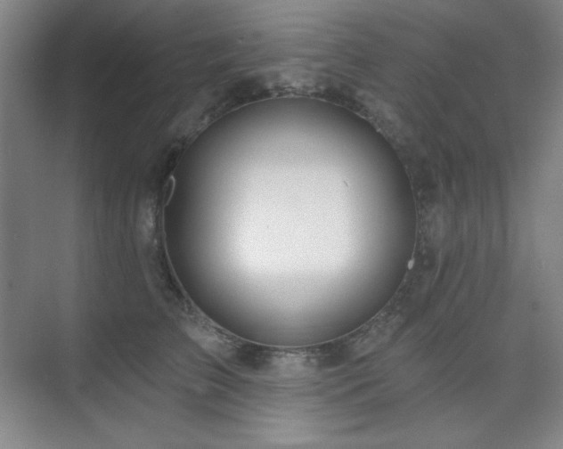 X0000073870709200608101510