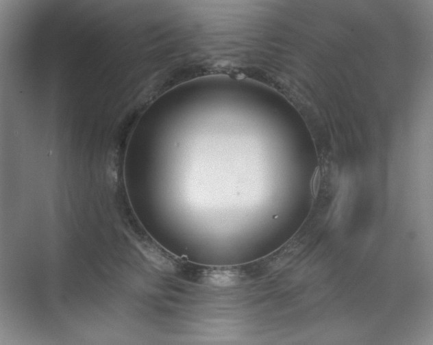 X0000073870710200608101510