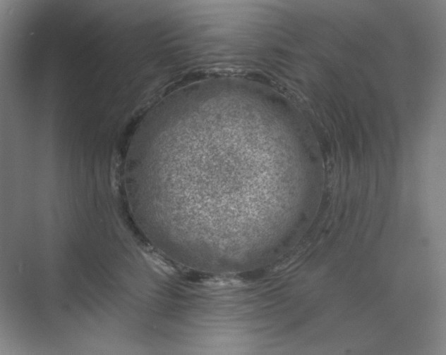 X0000073870712200608101510