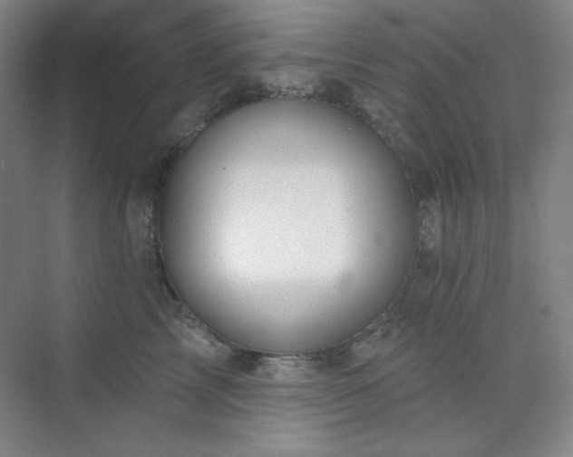 X0000073870713200608101510