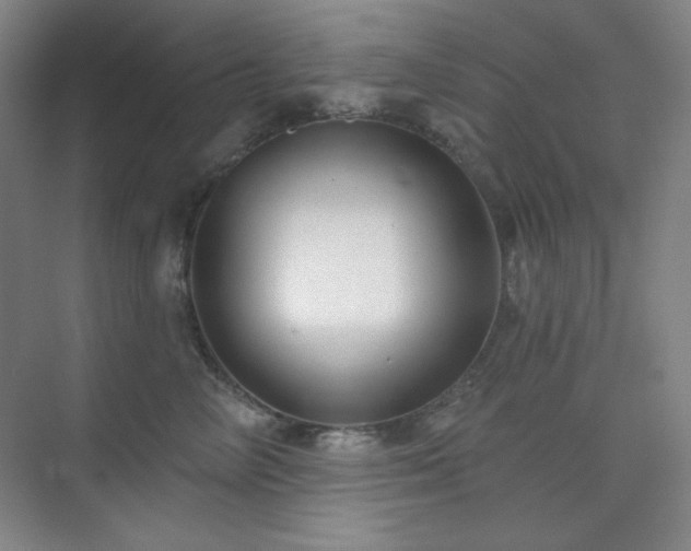 X0000073870714200608101510