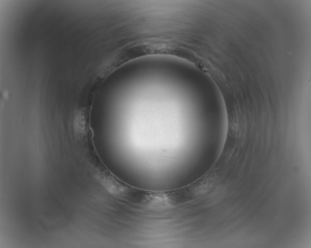 X0000073870715200608101510