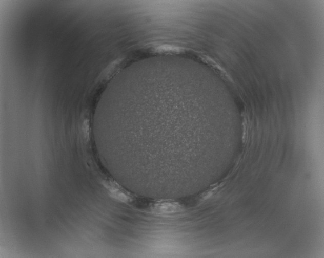 X0000073870716200608101509