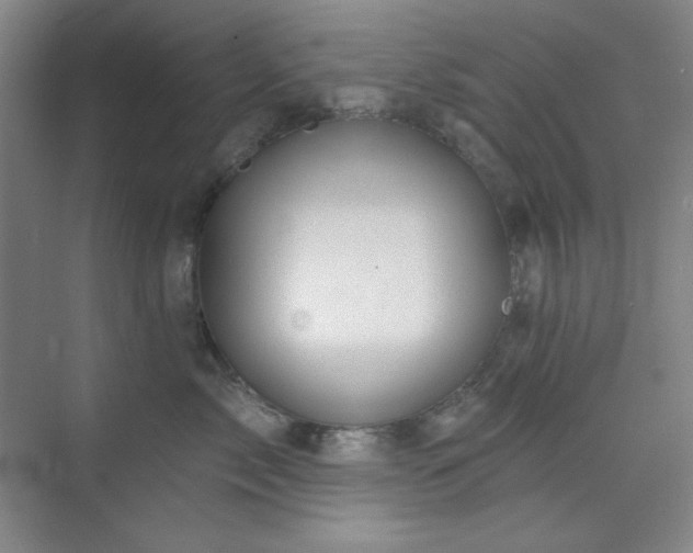 X0000073870717200608101509