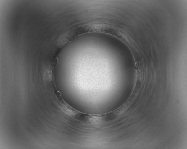 X0000073870718200608101509