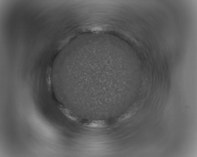 X0000073870720200608101509