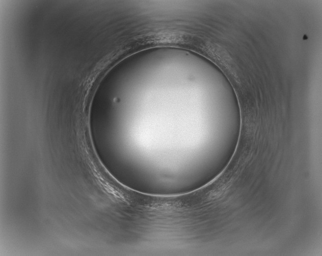 X0000073870721200608101509