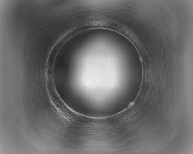 X0000073870722200608101509