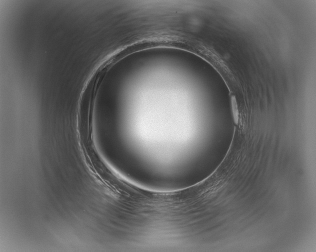 X0000073870724200608101509