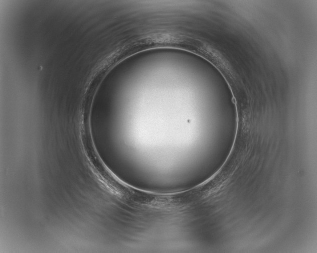 X0000073870725200608101509