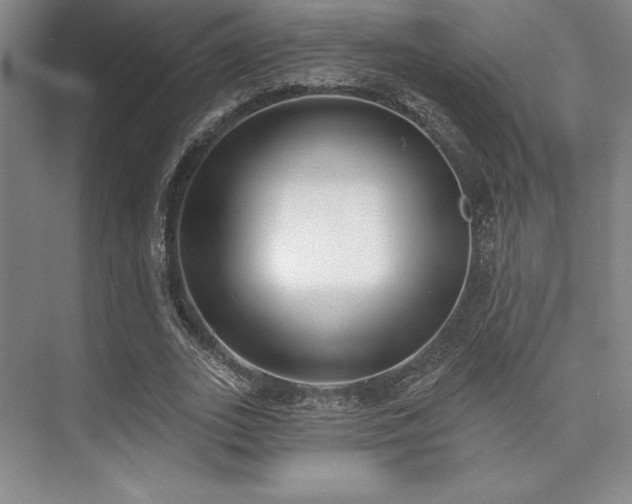 X0000073870727200608101509