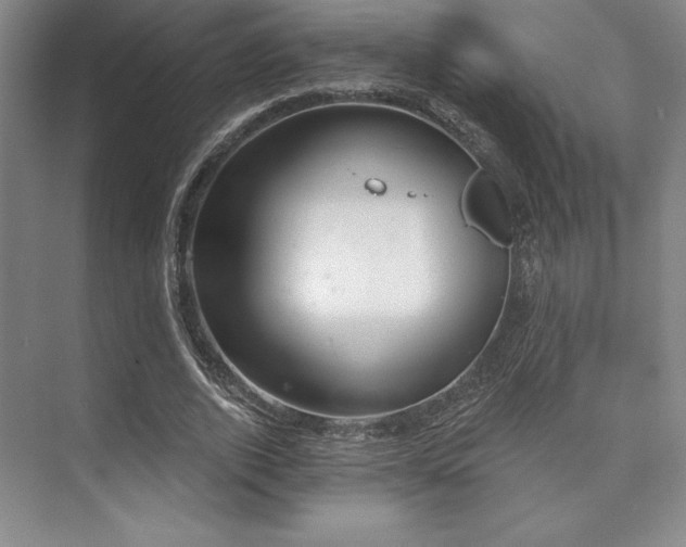 X0000073870728200608101509