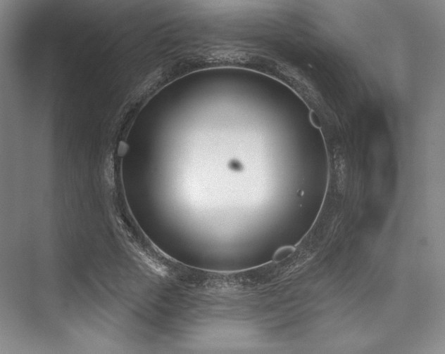 X0000073870729200608101509