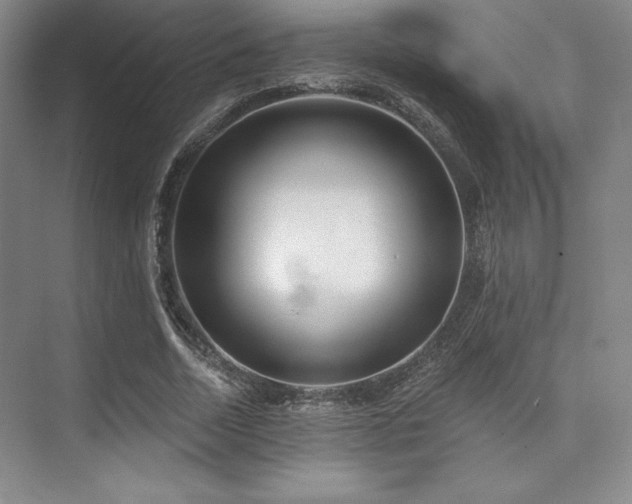 X0000073870730200608101509