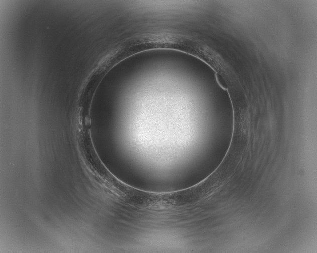 X0000073870731200608101509