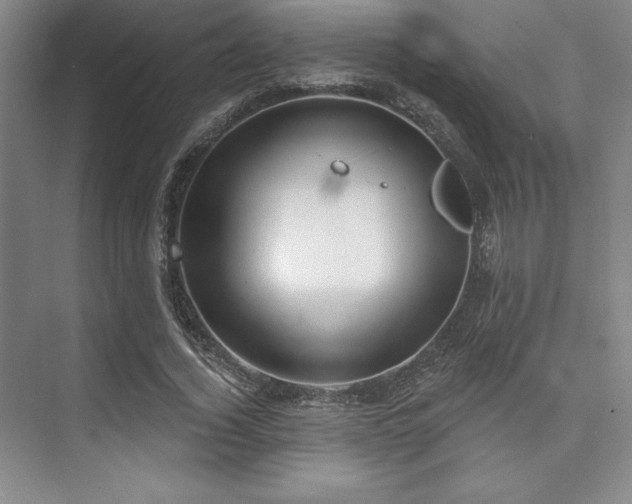 X0000073870732200608101509