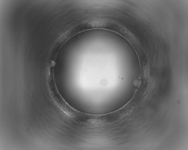 X0000073870733200608101509