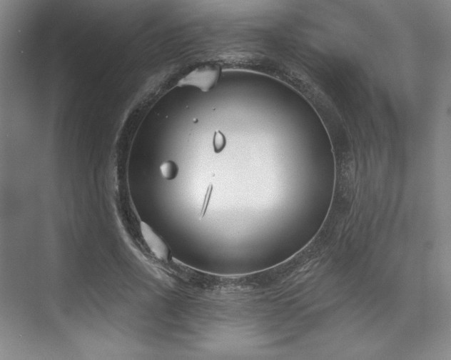 X0000073870734200608101509