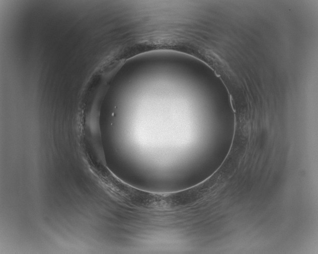 X0000073870735200608101509