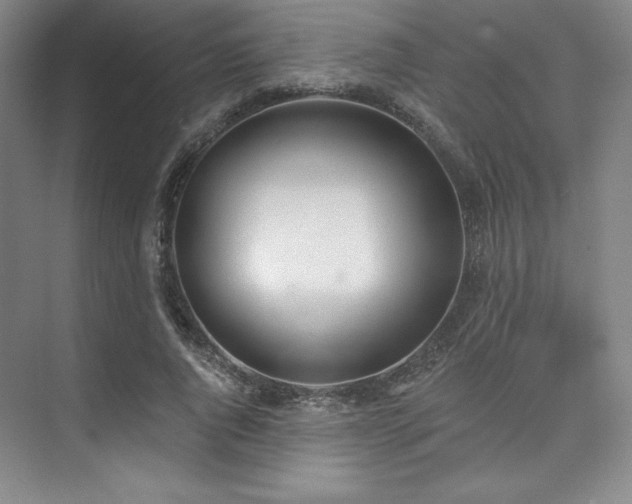 X0000073870736200608101509