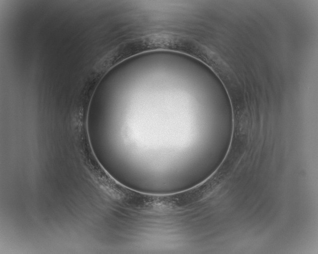 X0000073870737200608101509