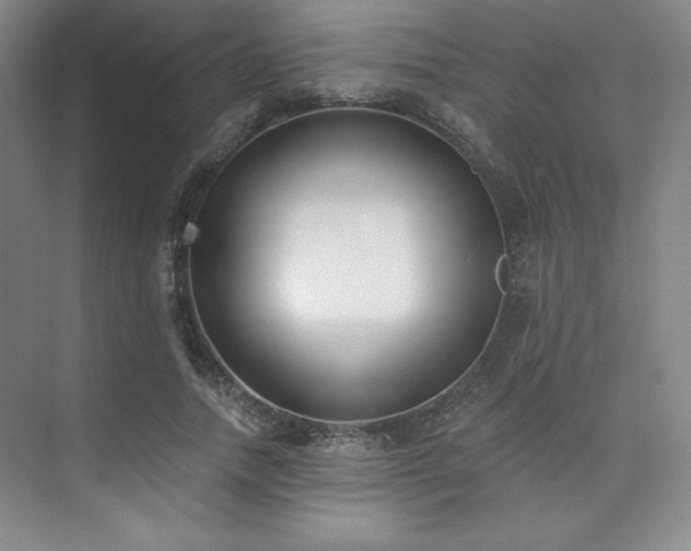 X0000073870738200608101509