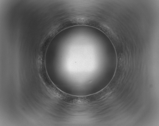 X0000073870739200608101509