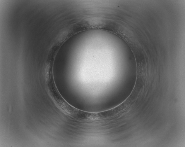 X0000073870742200608101509