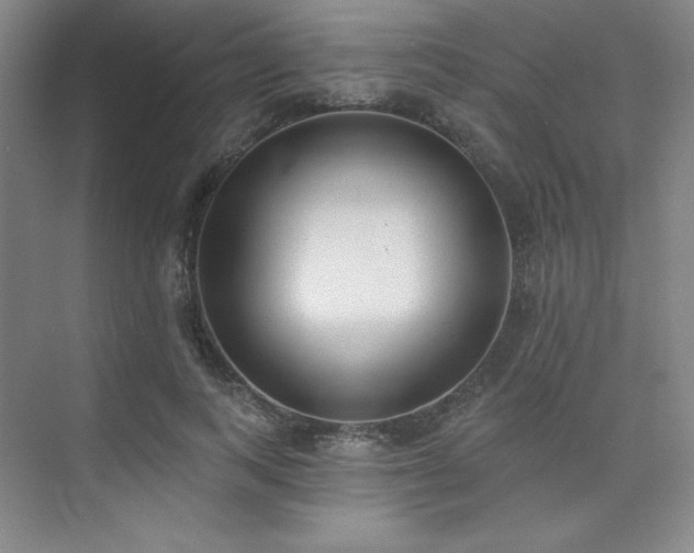 X0000073870743200608101509