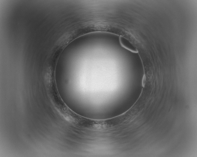 X0000073870744200608101509