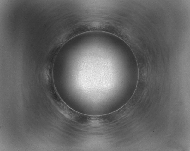 X0000073870746200608101509