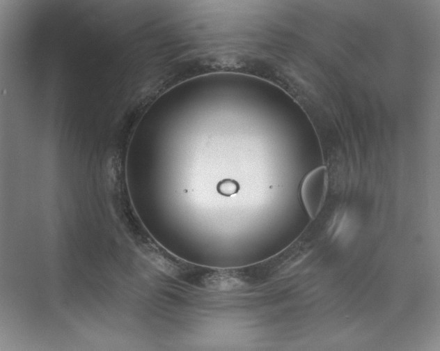 X0000073870747200608101509