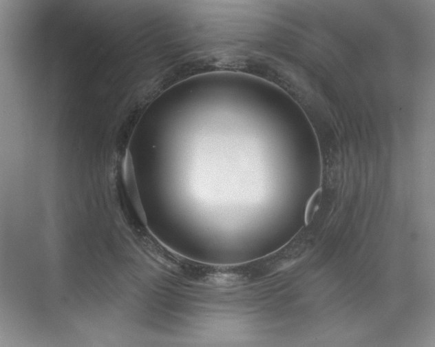 X0000073870748200608101509