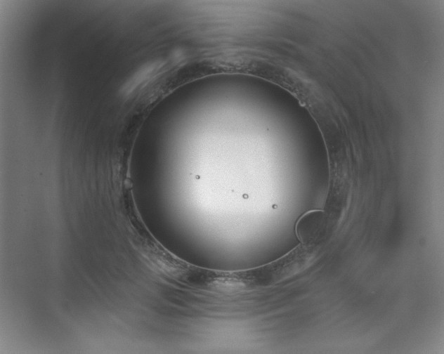 X0000073870749200608101509