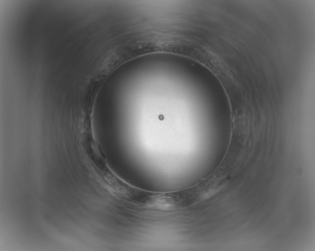 X0000073870750200608101509