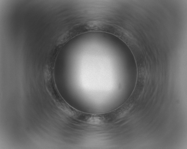 X0000073870751200608101509