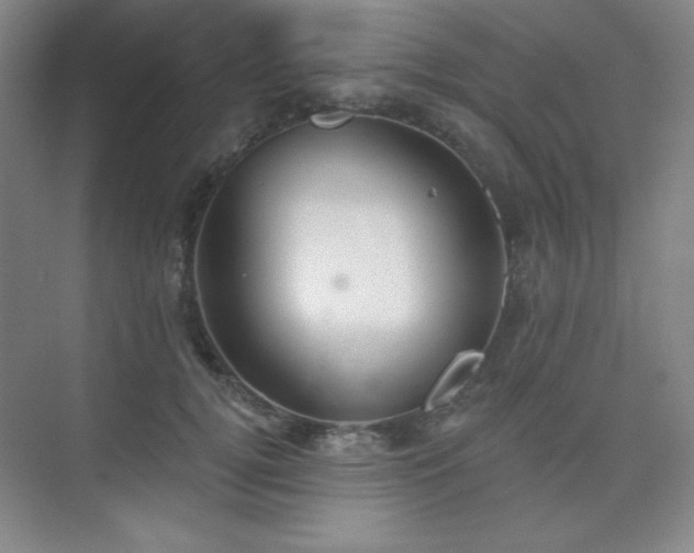 X0000073870752200608101509